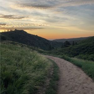 Meet your Posher, Finley